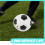 Fußball Außen Sport PU Training 8