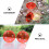 2St Duurzame Plastic Vogelvoederbox Rood Outdoor 9