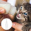4 Silicone Voedingsflessen Herbruikbare Kattenflessen 6