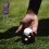 Golf Divot Reparaturtool 1Stk 4,5X1,2In 19