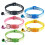 5 Verstelbare Halsband Kat Met 5