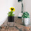 Iron Planter Mit Für Sukkulenten Und Stifte 9
