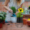 Iron Planter Mit Für Sukkulenten Und Stifte 11