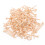 Golf Training Tee Beige Hout 100 Liefhebbers 3,3X0,4X0,4In 6