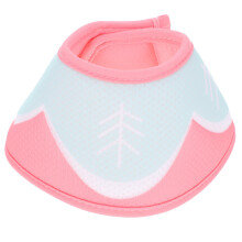 Cat Recovery Collar Net En Elizabeth Circle
