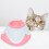 Cat Recovery Collar Net En Elizabeth Circle 11