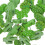 juego de chinchetas cactus para y tablón anuncios 9