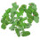 juego de chinchetas cactus para y tablón anuncios 8