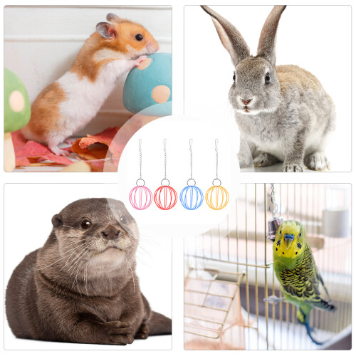 4 pièces de suspendues pour , pour hamster 1