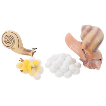 1 Set Realistische Schnecken Wachstumsmodelle Kunststoff Lernspielzeug