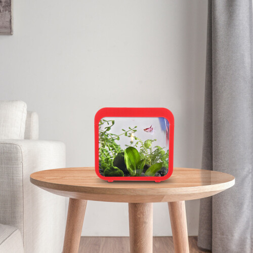 Creatieve Betta Visbak Met Licht En Woonkamer 2