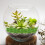 1 Box Simulated Faux Grass Cluster For Sand Table Model Garden Decor 2