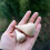 2Pcs Diy Blank Water Drop Model Unfinished Beech Children Toy 7
