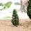 10Pcs Model Trees For Diorama Miniature Landscape Scenery 8.5Cm 8