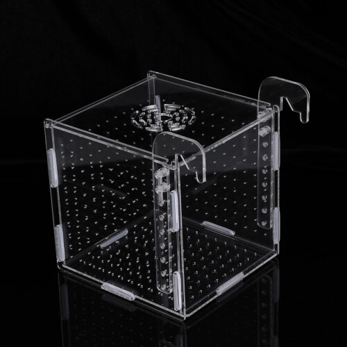 Boîte D'Élevage Transparente Pour Aquarium En 2