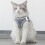 Cat Vest and Leash Set XL Reflective Harness 11