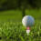 Golf-Tees aus Kunststoff mit langer Ballbasis und 11