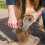1 Veeleven Itch Brush Huisdier Gebruik 7