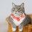 Collier Chat Rose Réglable PP Confortable 8