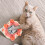 Collier Chat Rose Réglable PP Confortable 7