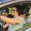 2Pcs Durable Brown Neck Protector Pillow for Auto Seat Neck Cushion 6