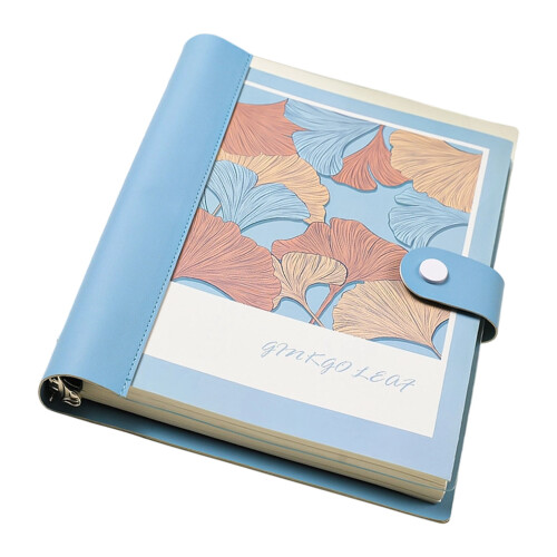 Notizbuch mit abnehmbaren Seiten, B5-Format, professionelles-G