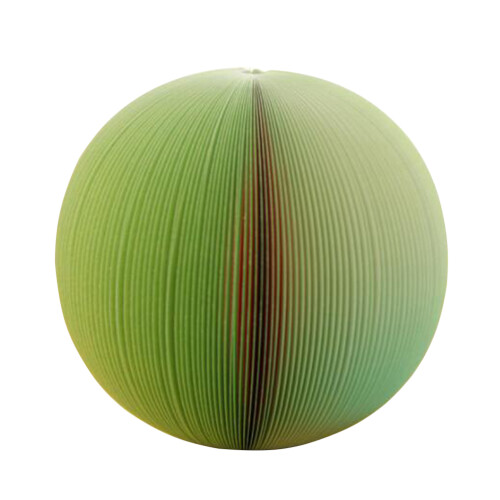 Fruit Selbstklebende Pads Haft Notizen Wassermelone
