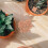 20 Unidades Miniatura De Arcilla Para Decoración 9