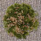 1Set Static Grass Mit Kieseln Für Miniaturlandschaft & DIY 5