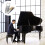 Piano Descender Stoßdämpfer Dämpfung Abs 8