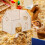 Hamster Slaaphuis Schuilplaats Decoratief 11