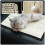 Pet Kitten Krabbelplank Kat Krabbelmat Huisdier Sofa 10