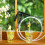 Quick Releases Beverage Dispenser Set With-Adapter 3 points var 5