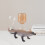 Simulation Animal Figurine Realistic Reptile Lizard Model Toy 9