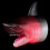 shark shaped bounce training toy for kids home use 8