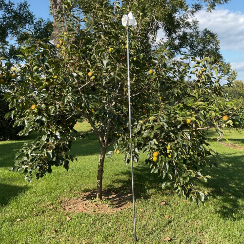 Flexible Fruit Gathering Tool With 5 9 Inch Metal Head-400cm 1