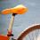 Quick Release Zadelklem Voor Fietszadelbuis 6