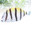 Simulated Fish Shaped Pencil Bag Makeup Coin Purse Striped Pattern 3