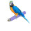 Papegaaienkooi Perch Curiosity Inductie 3-Pack 2