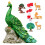 1 Set Pfauenschmuck Landschaft 8