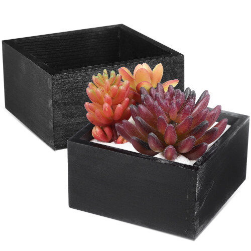 2Stk Blumenkästen Pflanzbox Gemüse 1
