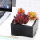 2Stk Blumenkästen Pflanzbox Gemüse 11