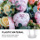 20Pcs Durable Plastic Flower Packing Stand White for Bouquet Fixing 7