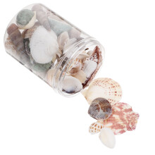 Box Natürliche Muscheln Und Muschelschmuck Handgefertigtes DIY-Zubehör