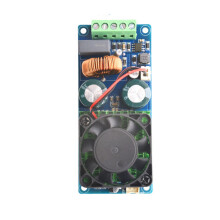 Hocheffiziente Mono-Sound-Verstärkerplatine mit 500 W Leistung