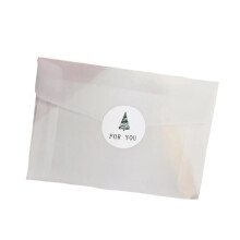 Wedding Card 10 Pieces Transparent Envelope DIY Postcard Gift Storage Party Invitation (10x7cm)