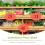 100Pcs Bright Shape Paper Price Labels for Stores 7