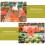 100Pcs Bright Shape Paper Price Labels for Stores 11