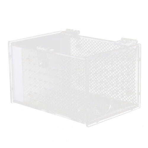 caja alimentación acrílico para mantis e