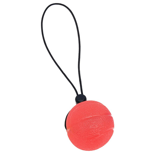 1Boule Tpe Rose De Renforcement Main Pour Usage Maison